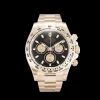 Rolex Daytona Black Dial 116505